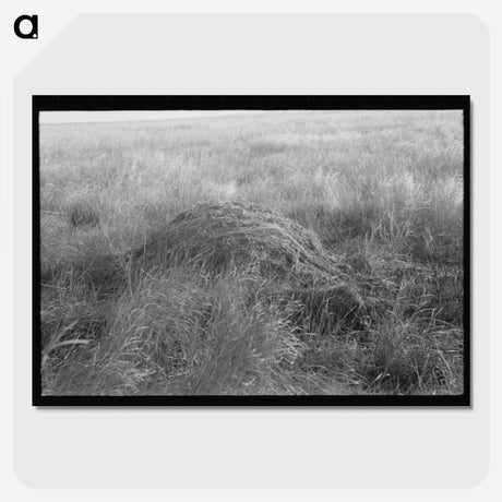 2-43_Marion-Post-Wolcott_picture-crop