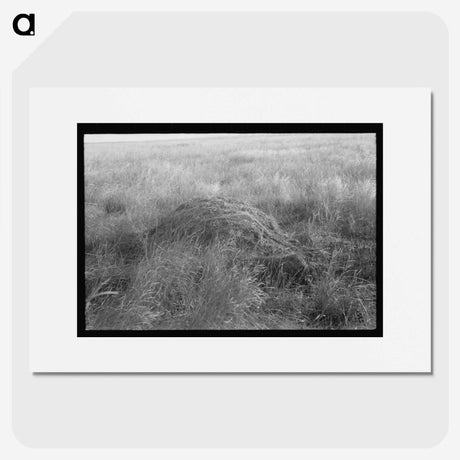 2-43_Marion-Post-Wolcott_picture