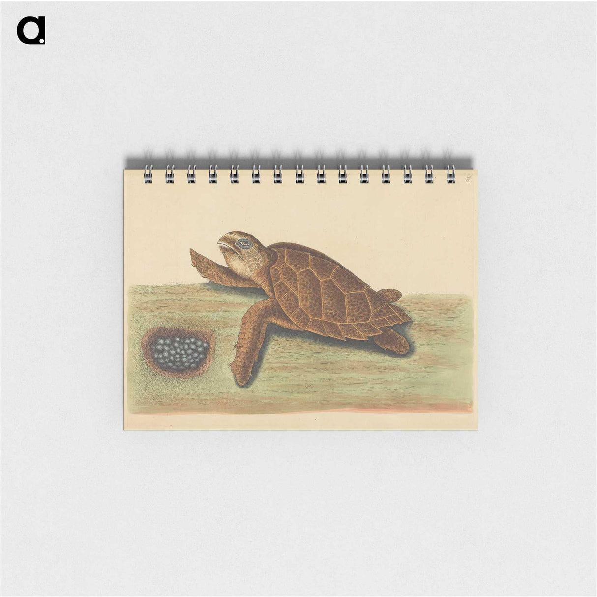 2-43_Mark-Catesby_memo