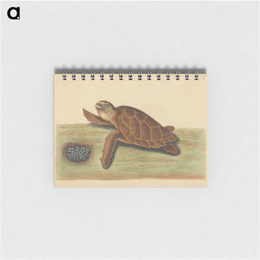 2-43_Mark-Catesby_memo