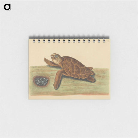 2-43_Mark-Catesby_memo