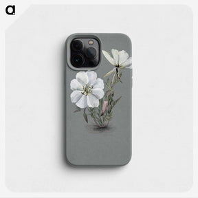 2-43_Mary-Vaux-Walcott_phone