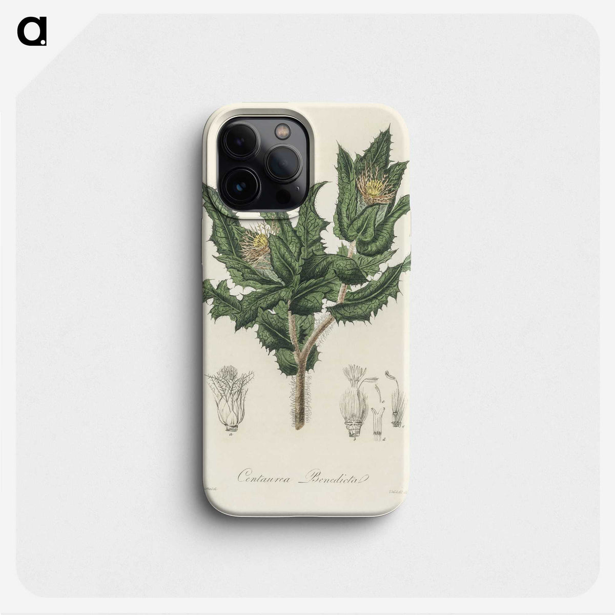 2-43_Medical-Botany_phone