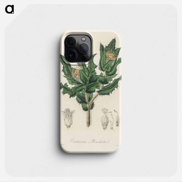 Holy Thistle Illustration
 - 薬用植物学 Phone Case.