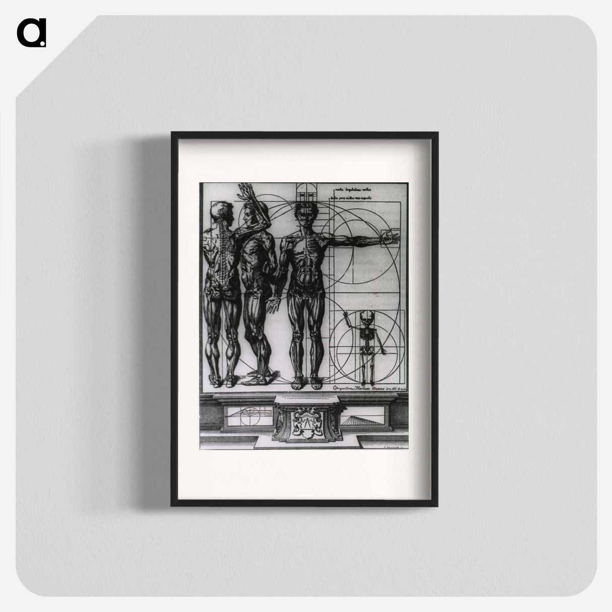 アートポスター-Myologic Plate of Three Muscle Manikins
 - 国立医学図書館 Poster.