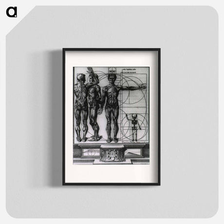 アートポスター-Myologic Plate of Three Muscle Manikins
 - 国立医学図書館 Poster.