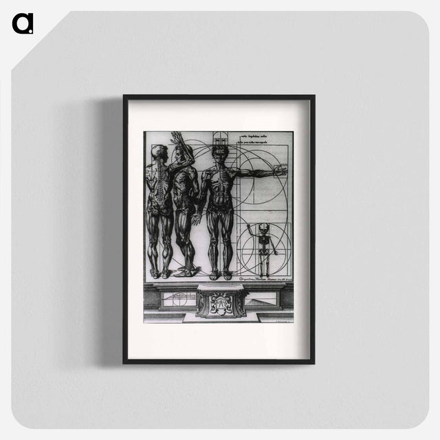 アートポスター-Myologic Plate of Three Muscle Manikins
 - 国立医学図書館 Poster.
