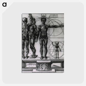 アートポストカード-Myologic Plate of Three Muscle Manikins
 - 国立医学図書館 Postcard.