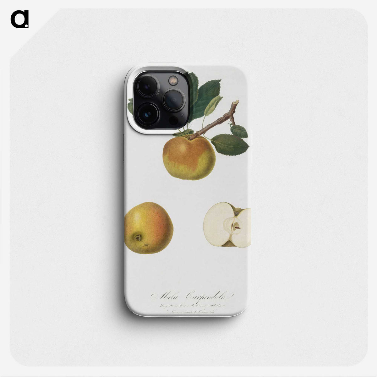 2-43_Pomona-Italiana_phone
