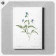 2-43_The-Lilies_canvas