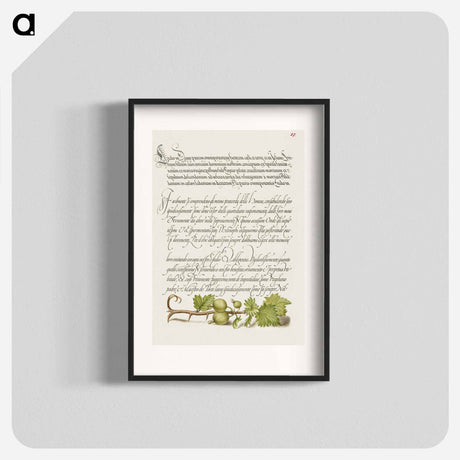 アートポスター-European Currant from Mira Calligraphiae Monumenta
 - 書道のお手本 Poster.