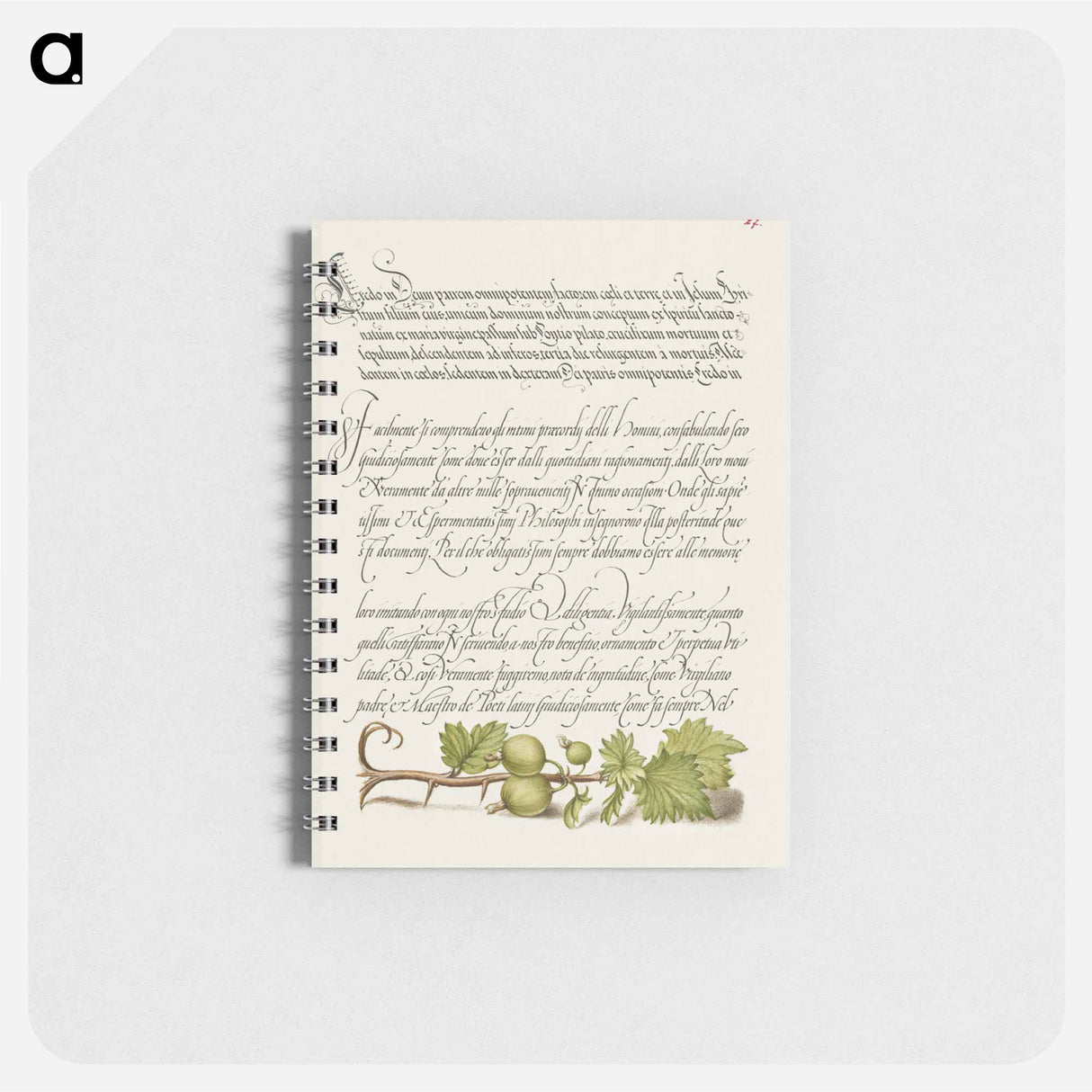 アートメモ帳-European Currant from Mira Calligraphiae Monumenta
 - 書道のお手本 Memo.