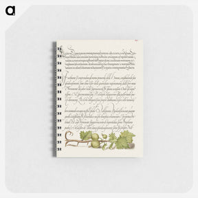 アートメモ帳-European Currant from Mira Calligraphiae Monumenta
 - 書道のお手本 Memo.
