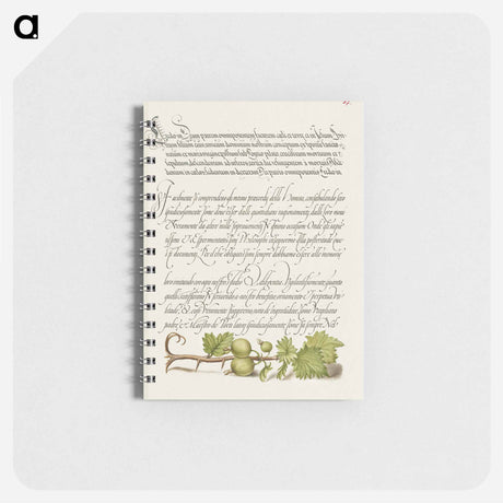 アートメモ帳-European Currant from Mira Calligraphiae Monumenta
 - 書道のお手本 Memo.