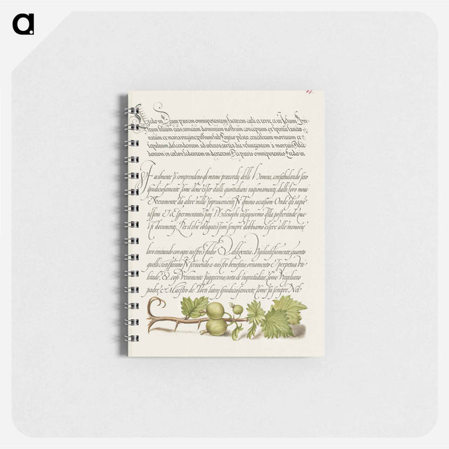 アートメモ帳-European Currant from Mira Calligraphiae Monumenta
 - 書道のお手本 Memo.