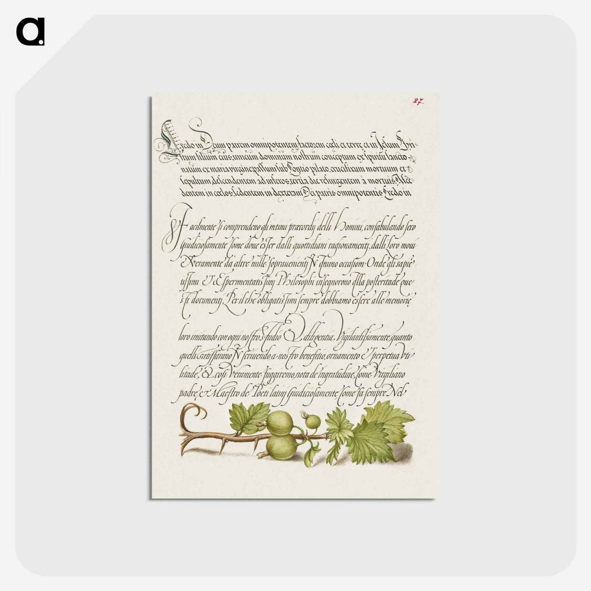 アートポストカード-European Currant from Mira Calligraphiae Monumenta
 - 書道のお手本 Postcard.