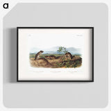 2-43_The-Viviparous-Quadrupeds_blk