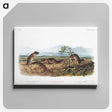 2-43_The-Viviparous-Quadrupeds_canvas