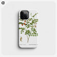2-43_Treatise-on-Trees-and-Shrubs_phone
