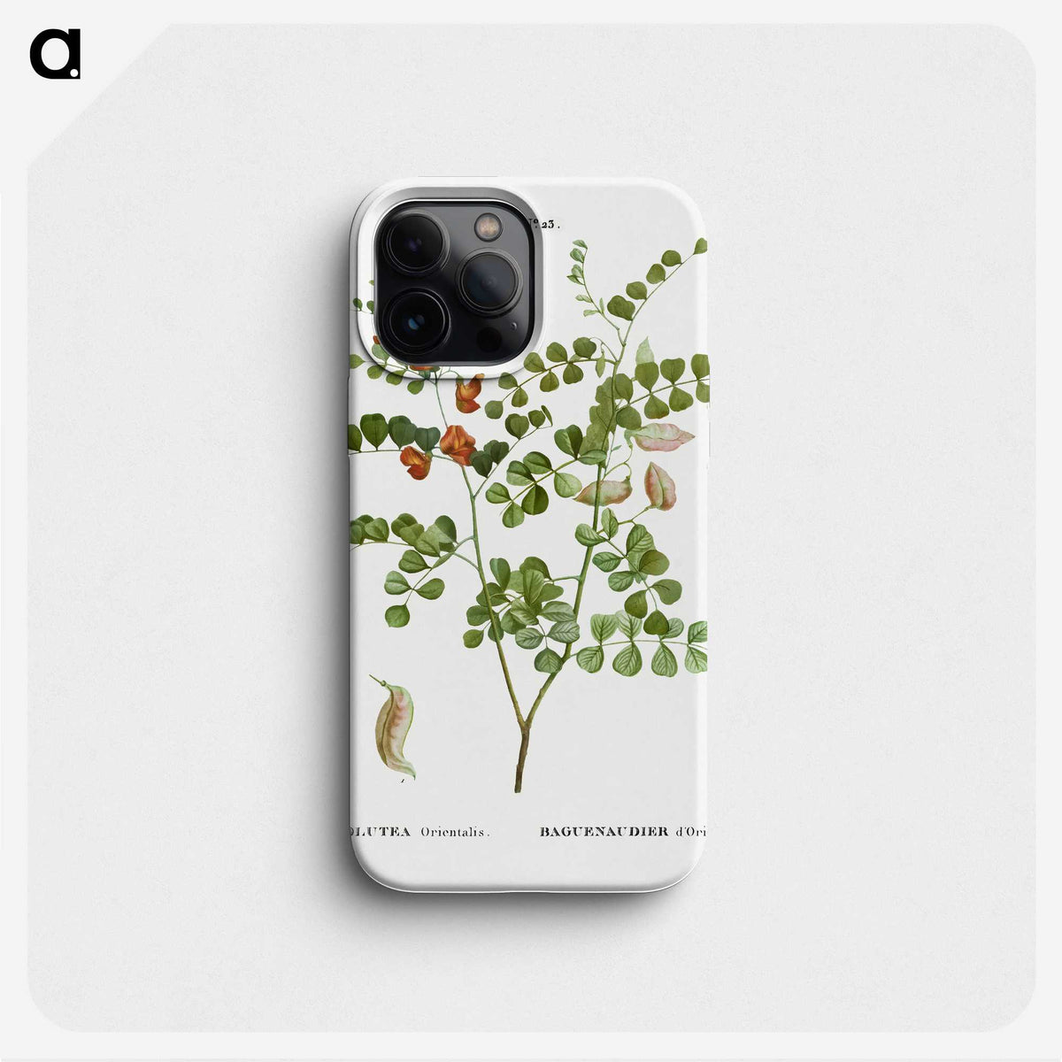 2-43_Treatise-on-Trees-and-Shrubs_phone