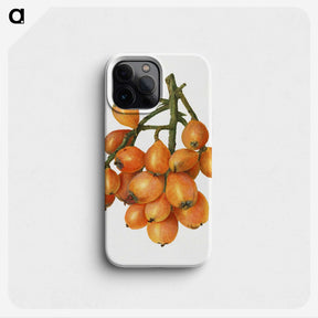 2-43_USDA-Watercolor-Fruit-Painting-Collection_phone