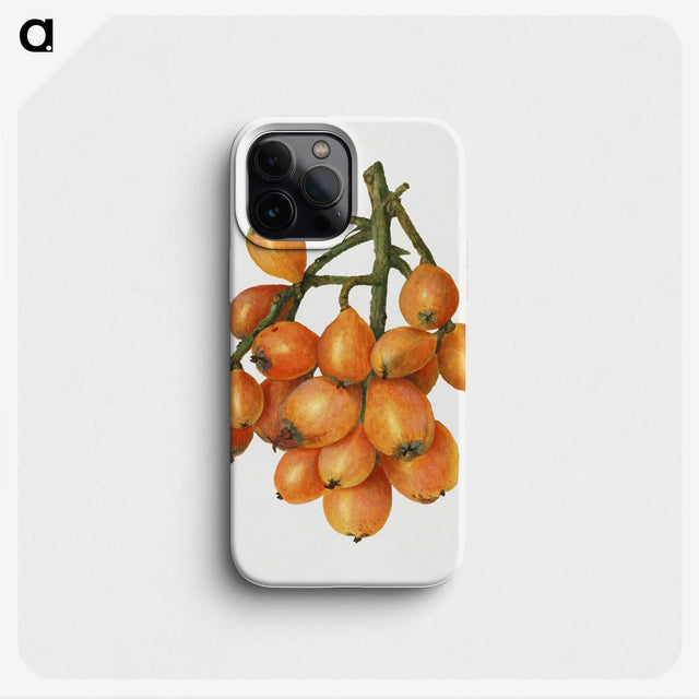 2-43_USDA-Watercolor-Fruit-Painting-Collection_phone