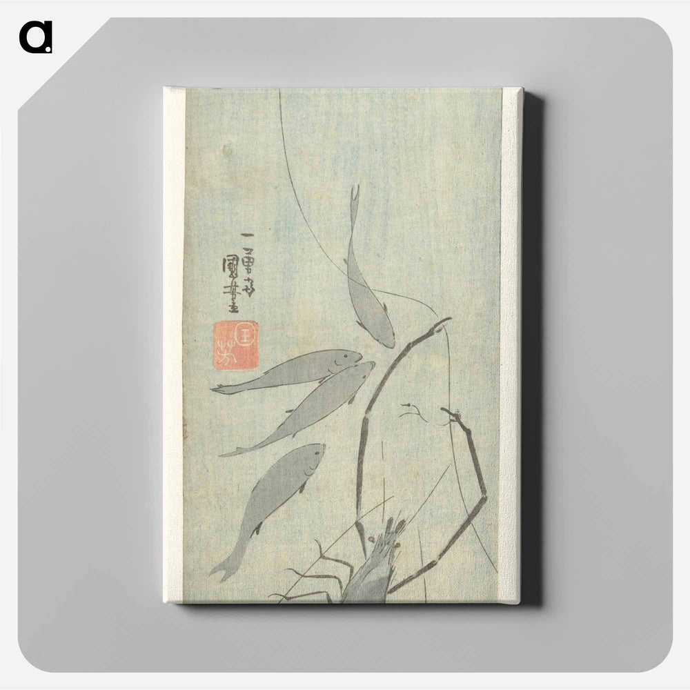 Langoustine en kleine vissen - 歌川 国芳 Canvas.