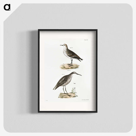 2-43_Zoology-of-New-York_blk