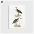 2-43_Zoology-of-New-York_postcard