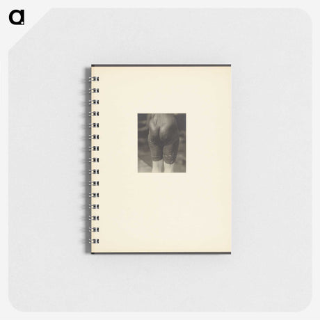 2-44_Alfred-Stieglitz_memo