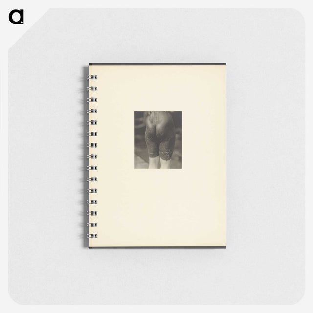 2-44_Alfred-Stieglitz_memo