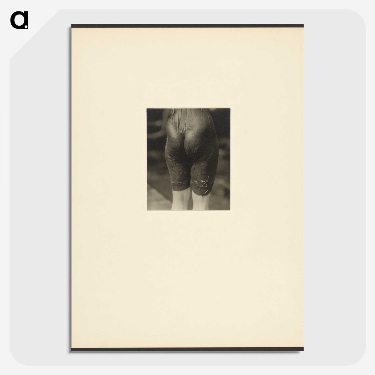 2-44_Alfred-Stieglitz_picture-crop