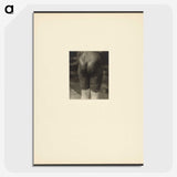 2-44_Alfred-Stieglitz_picture-crop