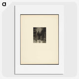 2-44_Alfred-Stieglitz_picture
