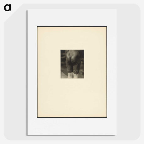 2-44_Alfred-Stieglitz_picture