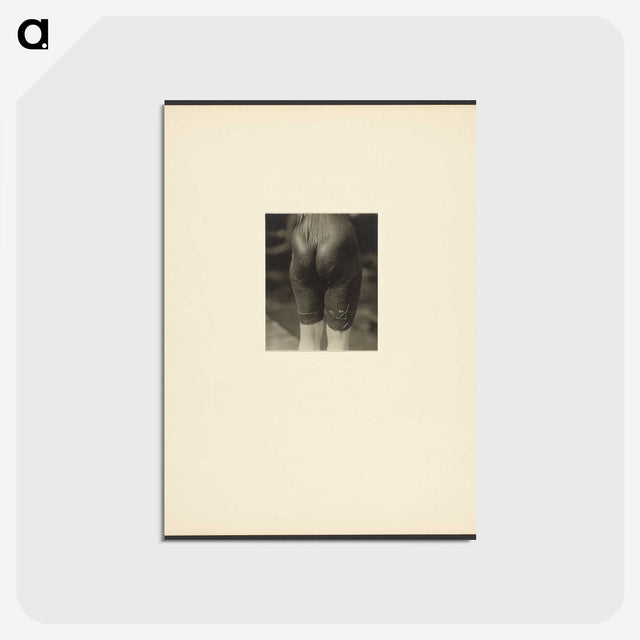 2-44_Alfred-Stieglitz_postcard