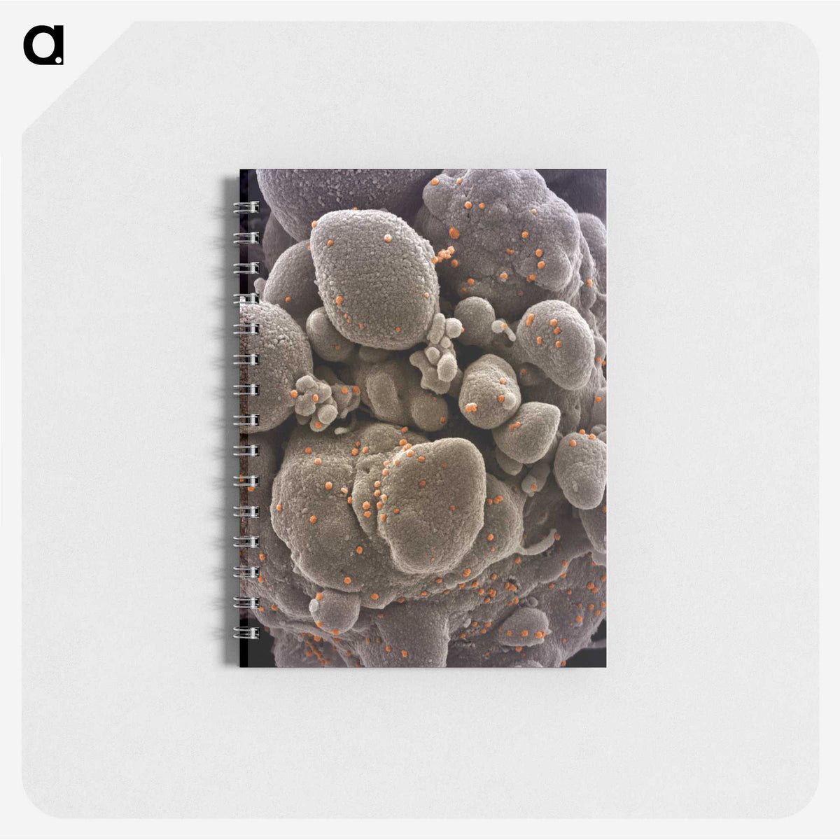 2-44_COVID-19_memo