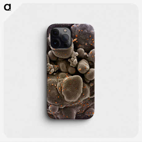 2-44_COVID-19_phone