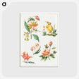 アートポストカード-Floral Designs with Two Birds
 - クリーブランド美術館 Postcard.
