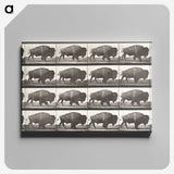 2-44_Eadweard-Muybridge_canvas
