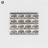 2-44_Eadweard-Muybridge_memo