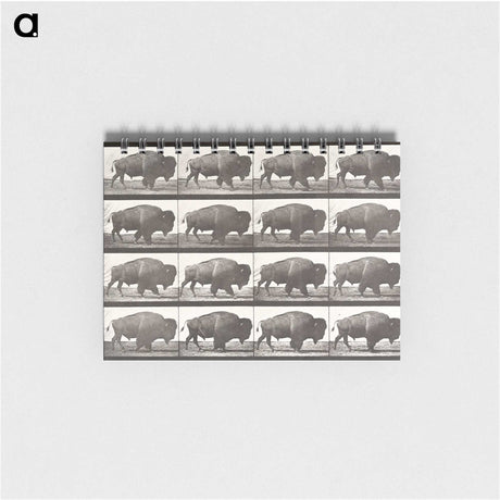 2-44_Eadweard-Muybridge_memo