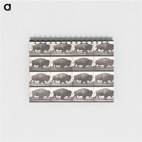 アートメモ帳-Buffalo, Walking
 - エドワード マイブリッジ Memo.