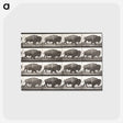 2-44_Eadweard-Muybridge_postcard