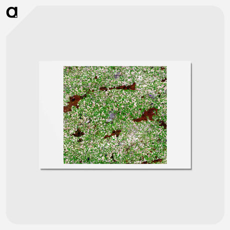 アートポストカード-Chateaubriant, France, From NASA Data
 - 上空からの地球 Postcard.