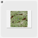 2-44_Earth-from-Above_hagaki