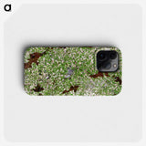 2-44_Earth-from-Above_phone