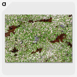 2-44_Earth-from-Above_picture-crop