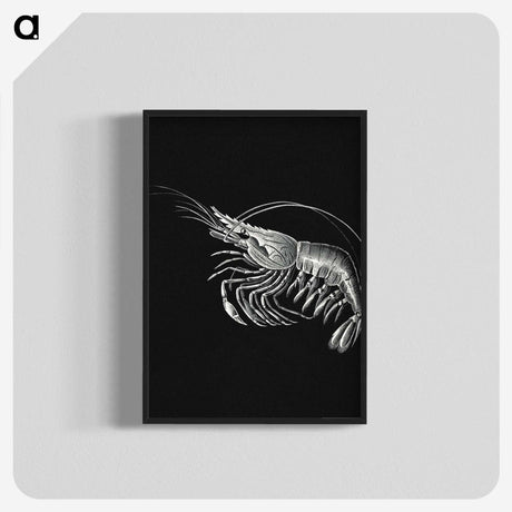 2-44_Ernst-Haeckel_blk-crop