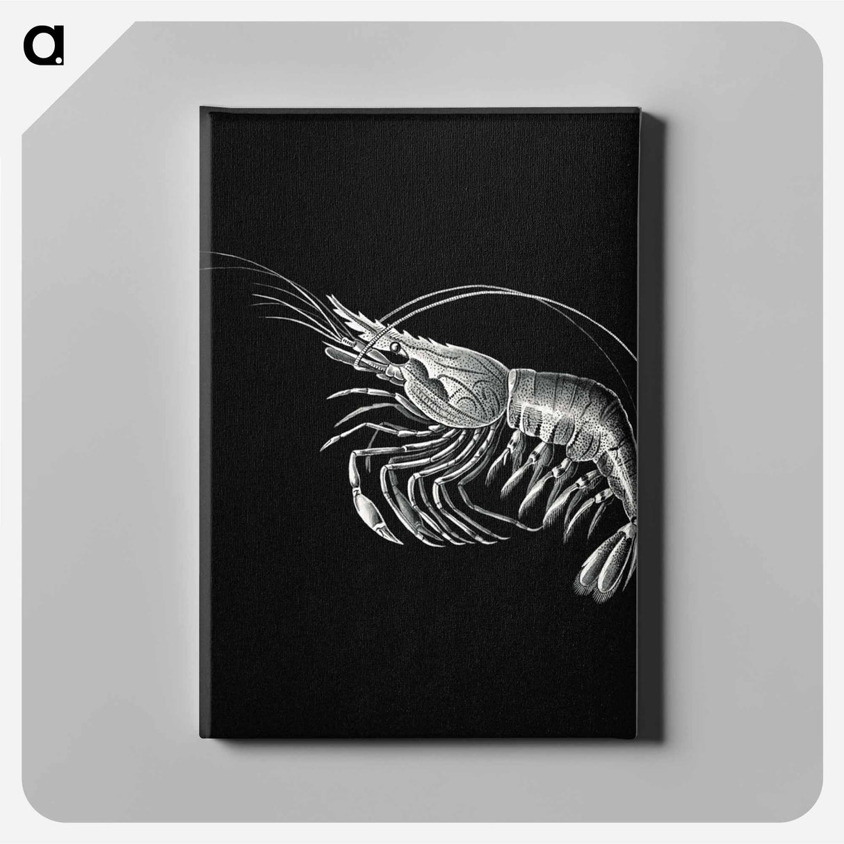 Vintage prawn marine life illustration - エルンスト ヘッケル Canvas.